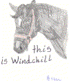 Windchill by Peyton