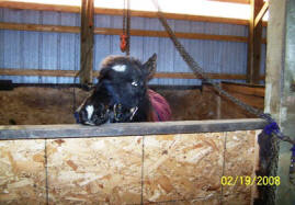 Windchill at Raindance Farms