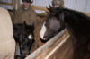 Windchill at Raindance Farms