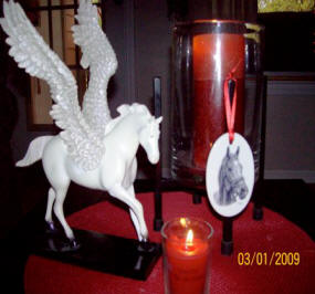 Susan Chiellini's Windchill memorial candles