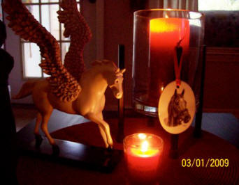 Susan Chiellini's Windchill candles