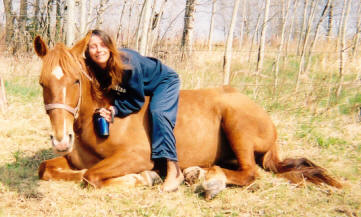 Rain Tennessee Walker