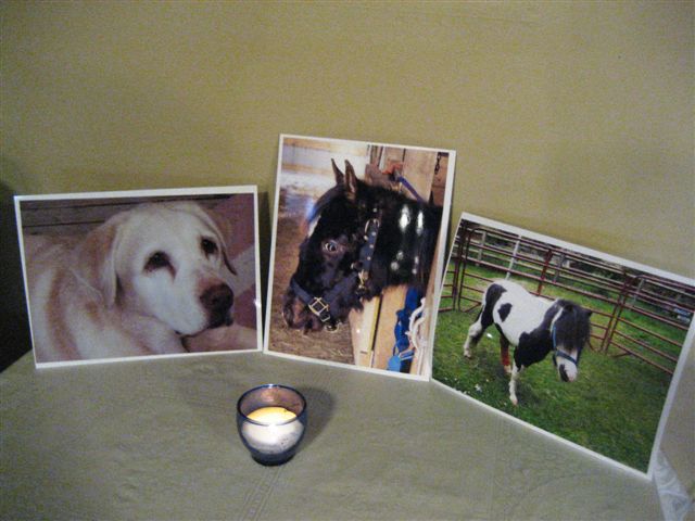 wind chill memorial candle rescue colt