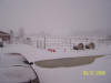 raindance farms snow picture 2